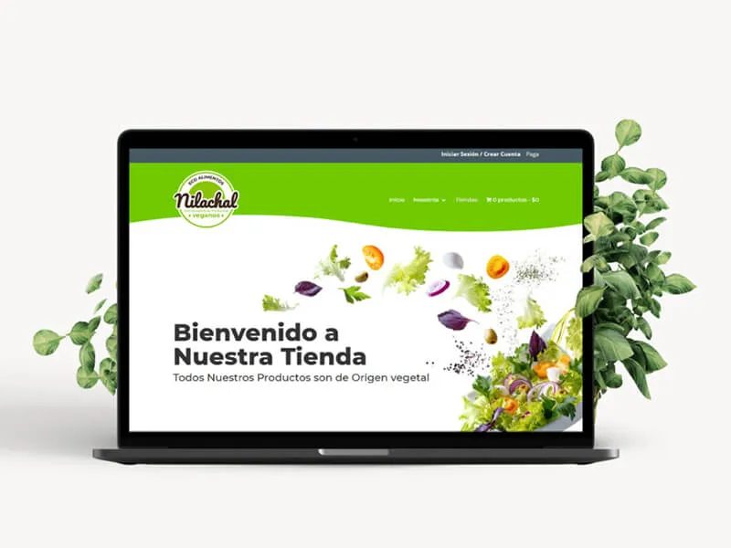 Diseño web para Nilachal