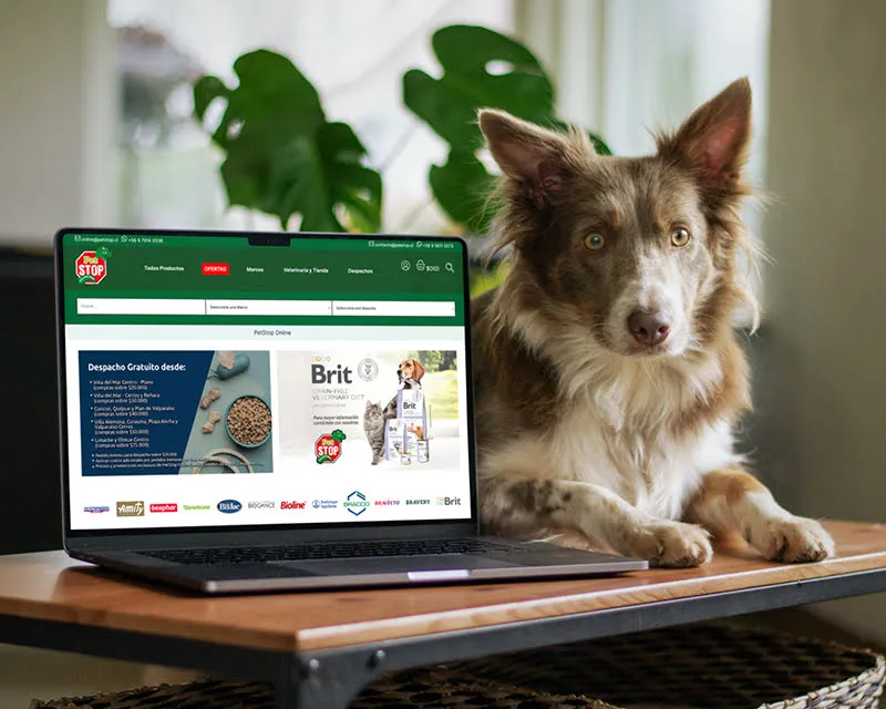 Diseño web para Petstop